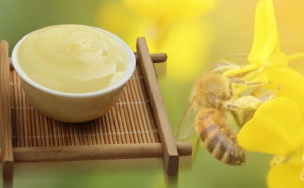 蜂王浆有哪些养生功效？蜂王浆有什么药理作用？(1)