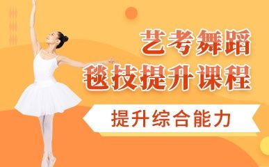 藝考舞蹈毯技學(xué)習(xí)課程縮略圖