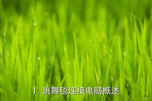 1. 跳舞毯連接電腦概述