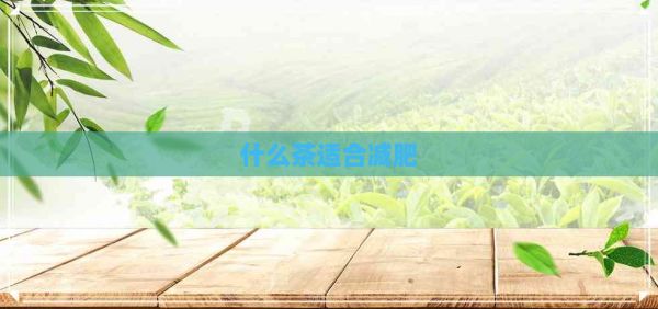 什么茶適合減肥