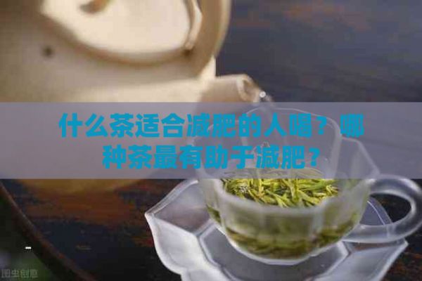 什么茶適合減肥的人喝？哪種茶最有助于減肥？
