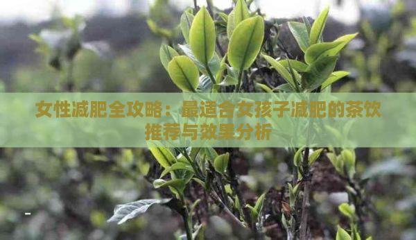 女性減肥全攻略：最適合女孩子減肥的茶飲推薦與效果分析