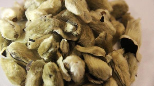 5款能減肥的花茶 伴著清香享“瘦”下去