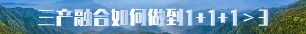 農(nóng)村三產(chǎn)融合