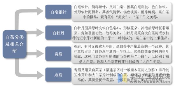白茶的分類及相關(guān)介紹