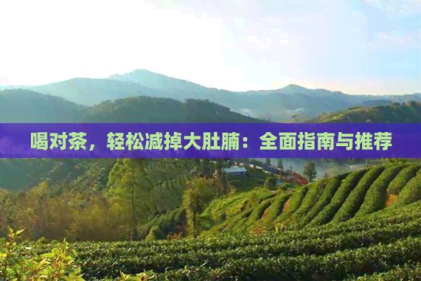 喝对茶，轻松减掉大肚腩：全面指南与推荐