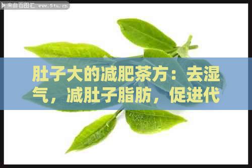 肚子大的減肥茶方：去濕氣，減肚子脂肪，促進(jìn)代謝。