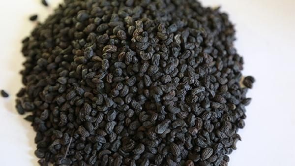 中藥減肥茶你了解多少？