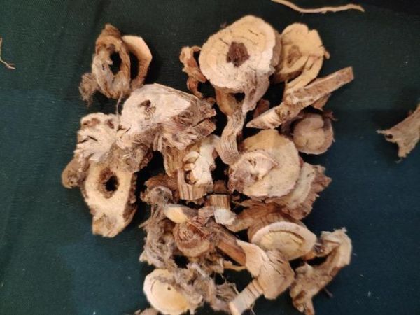 【藥材辨識】四招教你挑出靚黃芪