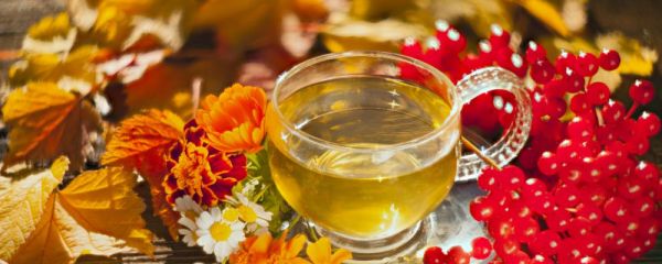 冬天身體好虛喝什么好 冬天什么飲品能調(diào)理身體 冬季身體虛怕冷喝什么