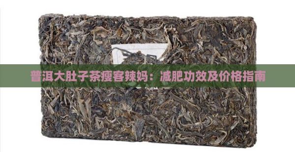 普洱大肚子茶瘦客辣媽：減肥功效及價格指南