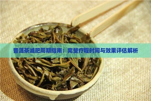 普洱茶減肥周期指南：完整療程時間與效果評估解析