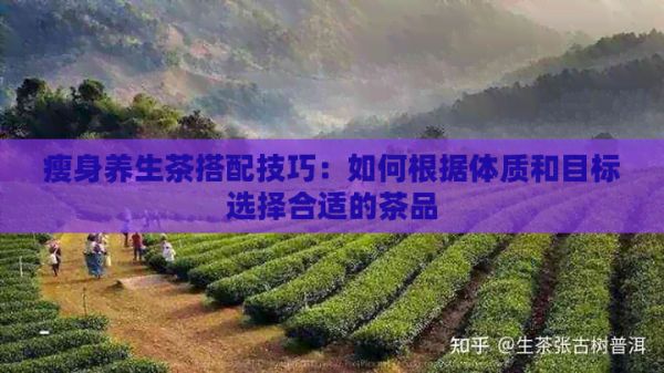 瘦身養(yǎng)生茶搭配技巧：如何根據(jù)體質(zhì)和目標(biāo)選擇合適的茶品