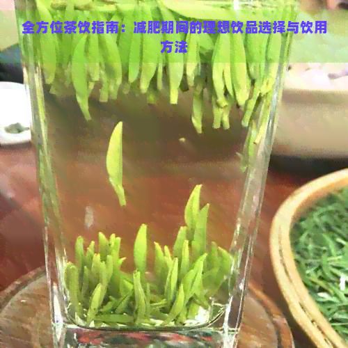 全方位茶飲指南：減肥期間的理想飲品選擇與飲用方法