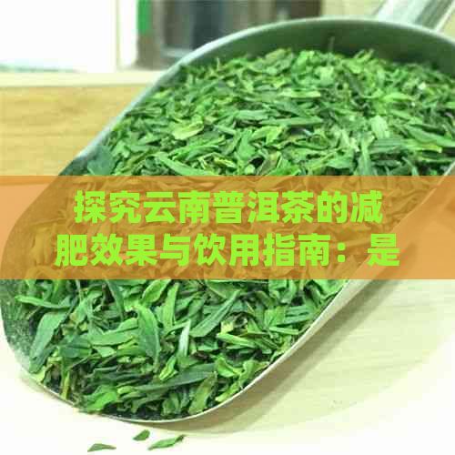 探究云南普洱茶的減肥效果與飲用指南：是否能有效減肥及正確飲用方法