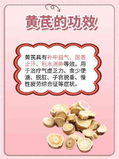 養(yǎng)慶堂黃芪質(zhì)量評(píng)測(cè)與用戶口碑匯總：深度解析其功效與選購指南