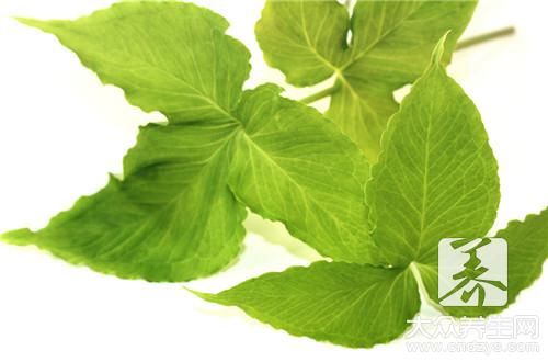 5款自制減肥茶 擊退虛胖消水腫