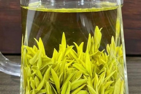 黃茶品牌排行榜前十名，黃茶的十大排名