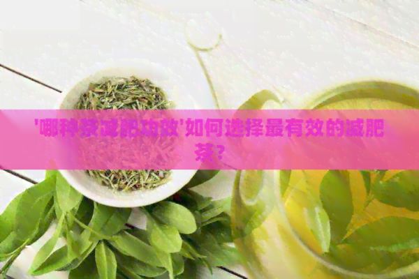 '哪種茶減肥功效'如何選擇最有效的減肥茶？