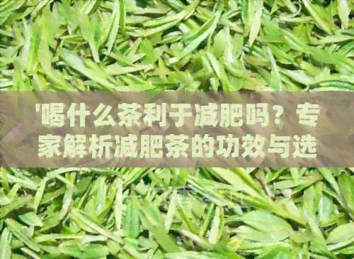 '喝什么茶利于減肥嗎？專家解析減肥茶的功效與選擇'