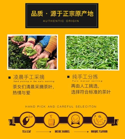 錫蘭紅茶最適合采摘季節(jié)介紹