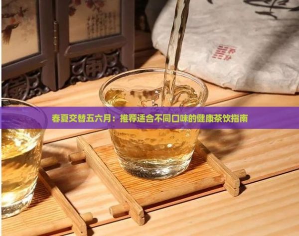 春夏交替五六月：推薦適合不同口味的健康茶飲指南