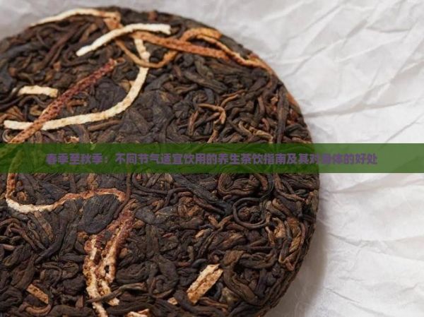春季至秋季：不同節(jié)氣適宜飲用的養(yǎng)生茶飲指南及其對(duì)身體的好處