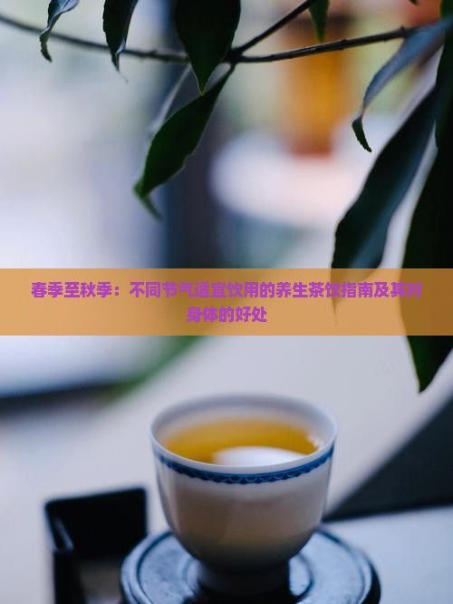春季至秋季：不同節(jié)氣適宜飲用的養(yǎng)生茶飲指南及其對(duì)身體的好處