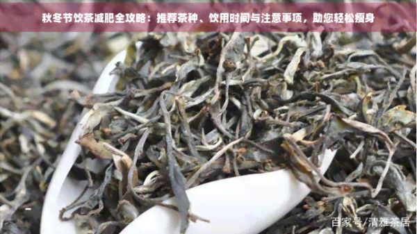 秋冬節(jié)飲茶減肥全攻略：推薦茶種、飲用時(shí)間與注意事項(xiàng)，助您輕松瘦身