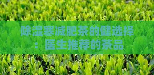 除濕寒減肥茶的健選擇：醫(yī)生推薦的茶品