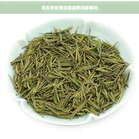 養(yǎng)樂多加普洱茶減肥嗎能喝嗎