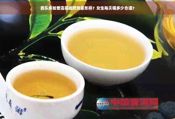 養(yǎng)樂多加普洱茶減肥效果怎樣？女生每天喝多少合適？