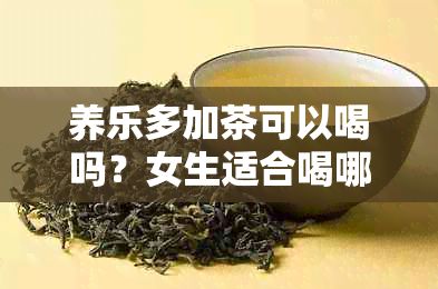 養(yǎng)樂多加茶可以喝嗎？女生適合喝哪種茶搭配養(yǎng)樂多？