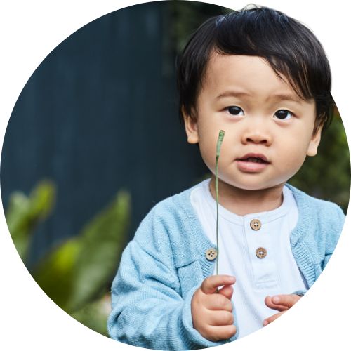 LGG®鼠李糖乳杆菌菌株