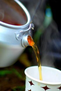 自制減肥茶排行榜，5款天然草本茶飲助你輕松瘦身