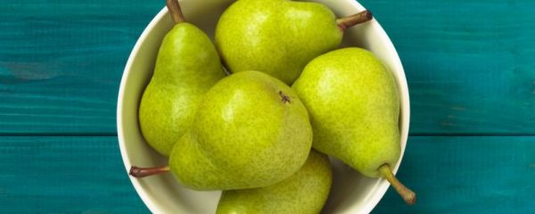 陰虛體質(zhì)吃什么好 陰虛體質(zhì)飲食調(diào)理 陰虛體質(zhì)吃什么食物