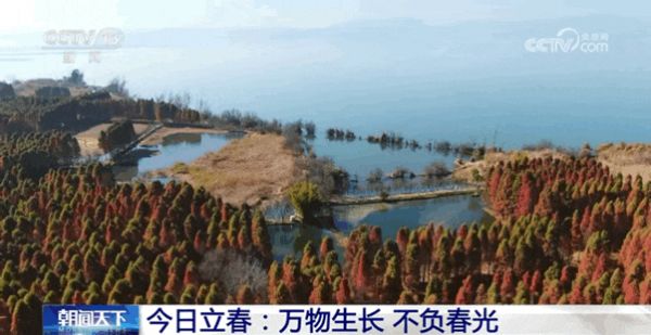 長(zhǎng)知識(shí)！除了吃春餅、春卷，立春還有這些講究→