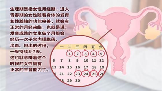 生理期是什么意思