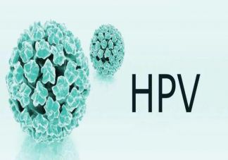 男性生殖器HPV感染率高达45.2% HPV感染不分男女