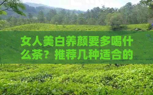 女人美白養(yǎng)顏要多喝什么茶？推薦幾種適合的茶品，讓你肌膚煥發(fā)光彩。