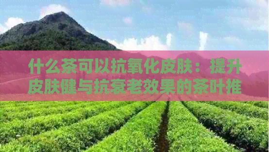 什么茶可以抗氧化皮膚：提升皮膚健與抗衰老效果的茶葉推薦