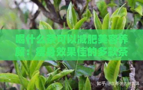 喝什么茶可以減肥美容養(yǎng)顏：瘦身效果佳的多款茶葉推薦