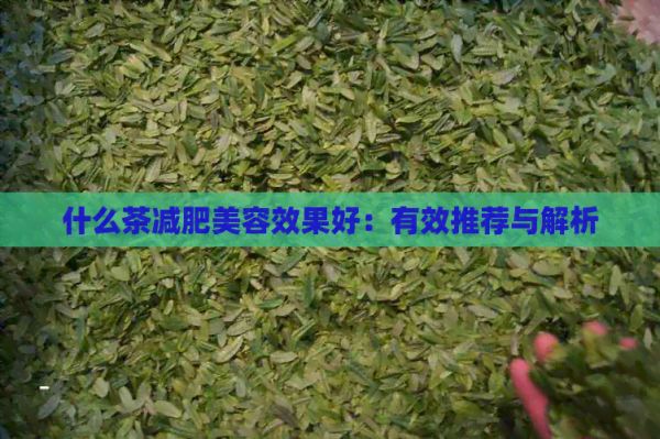 什么茶減肥美容效果好：有效推薦與解析