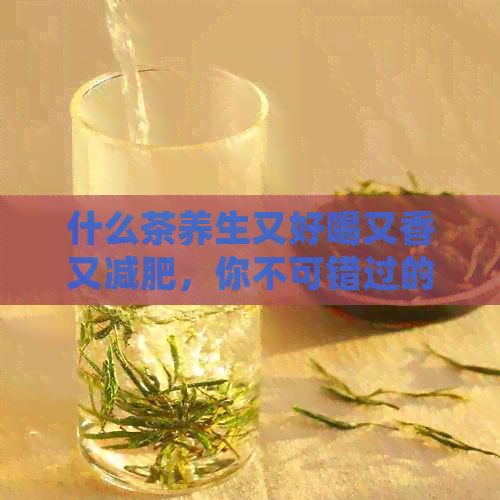什么茶養(yǎng)生又好喝又香又減肥，你不可錯過的茶品推薦