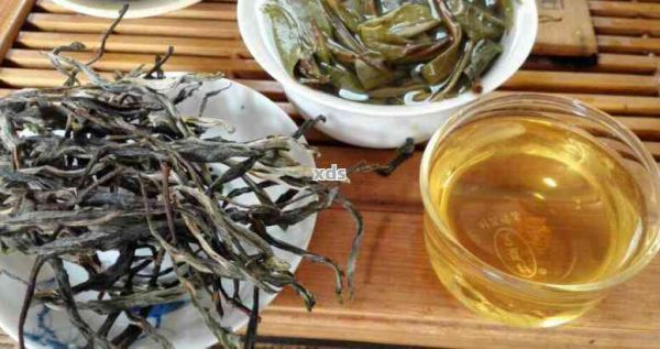 普洱茶的苦澀口感：好還是不好？探討其獨(dú)特魅力