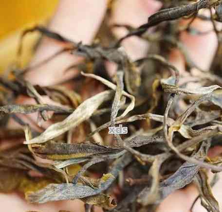 普洱茶的苦澀口感：好還是不好？探討其獨(dú)特魅力