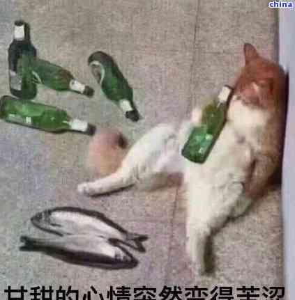 生普洱茶為啥苦：探討其苦澀原因及如何改善口感
