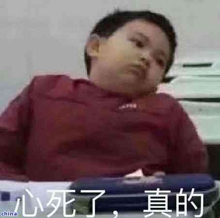 生普洱茶為啥苦：探討其苦澀原因及如何改善口感