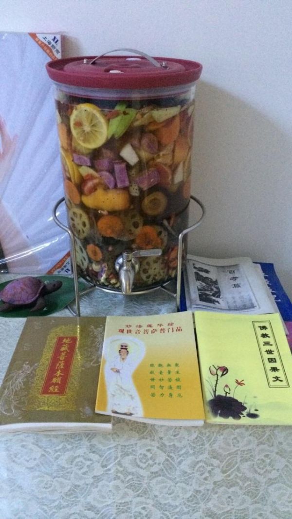 美颜复合型酵素—健康守护神的做法