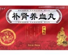 宝正补肾养血丸价格对比 9袋